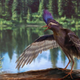 Image for article titled 8 Scientific Discoveries That Prove Evolution is Real